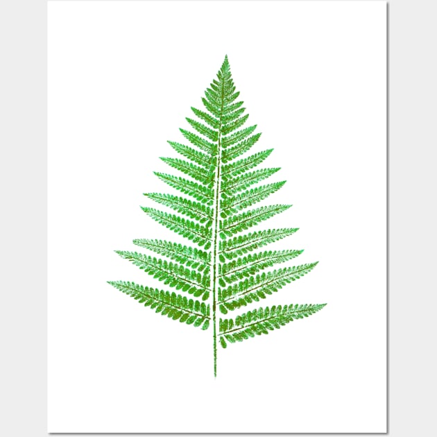 Fern Leaf - Botanical Imprint Wall Art by Nikokosmos